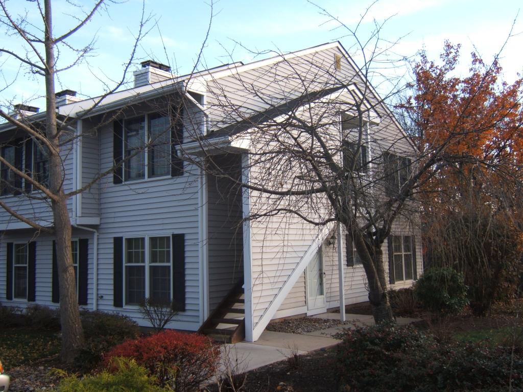 13 OWL CT