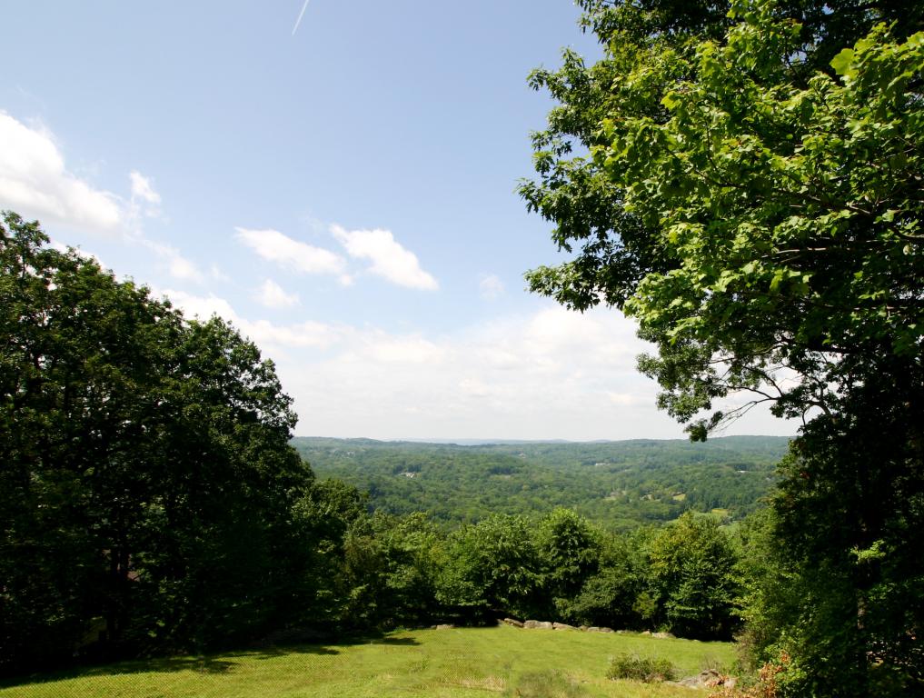 MLS #/Web ID: 2703494