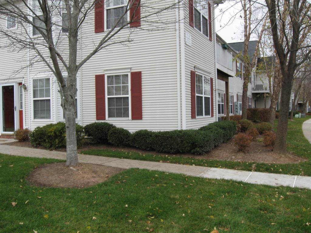 78 WILLIAMSON CT