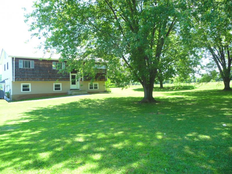 MLS #/Web ID: 2728694