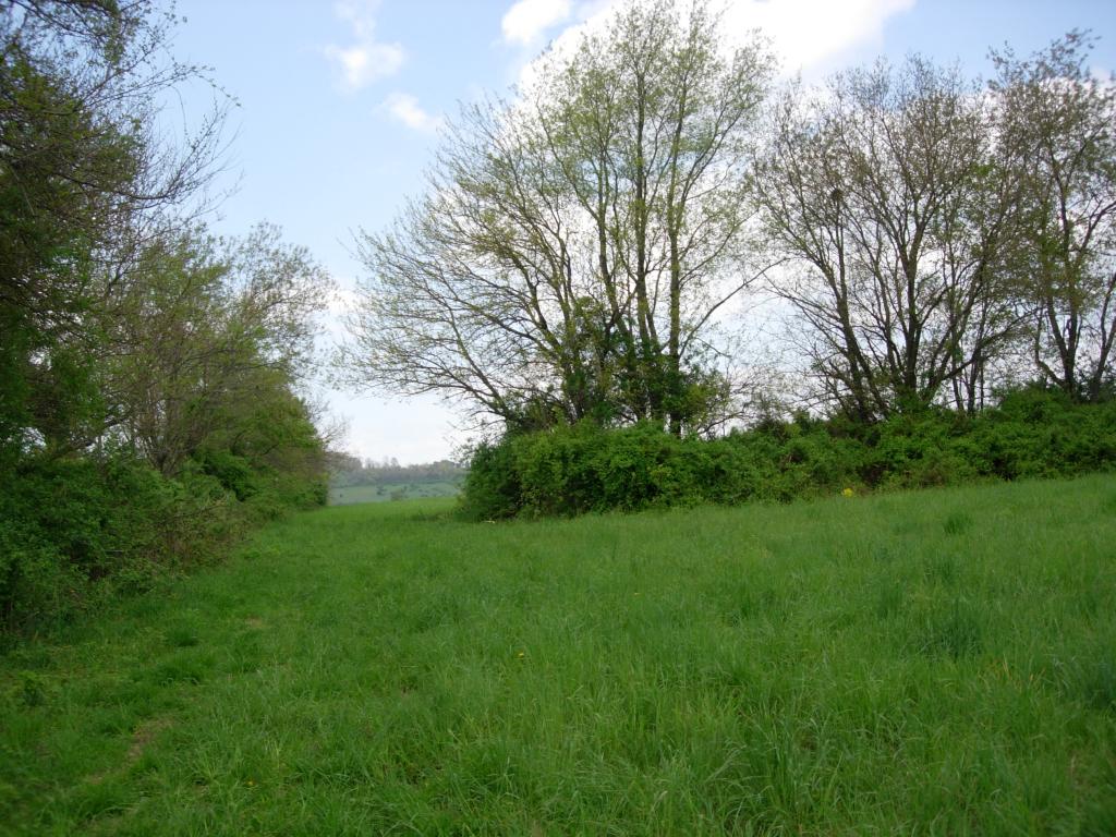 MLS #/Web ID: 2496595