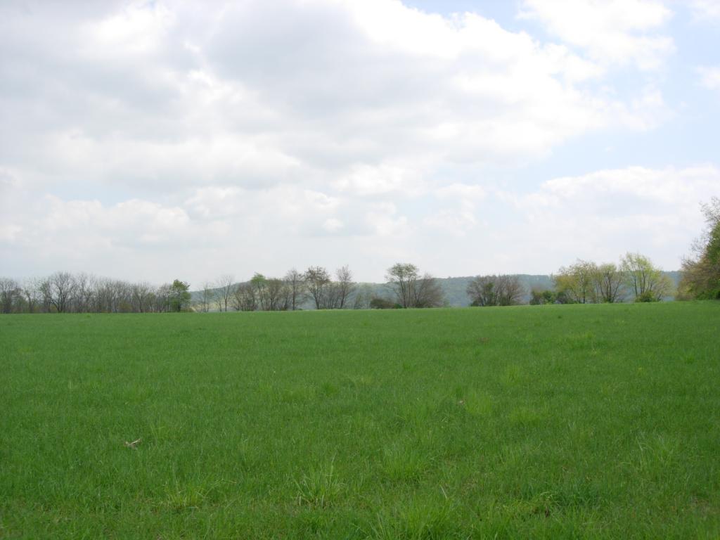 MLS #/Web ID: 2496595