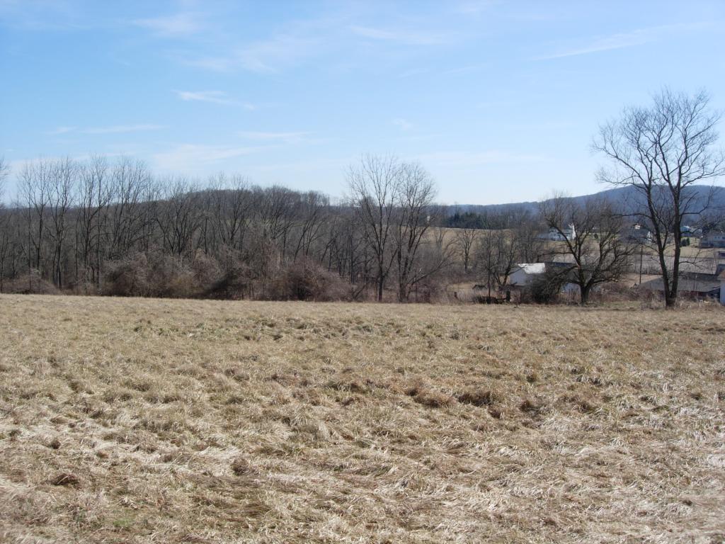 MLS #/Web ID: 2496595
