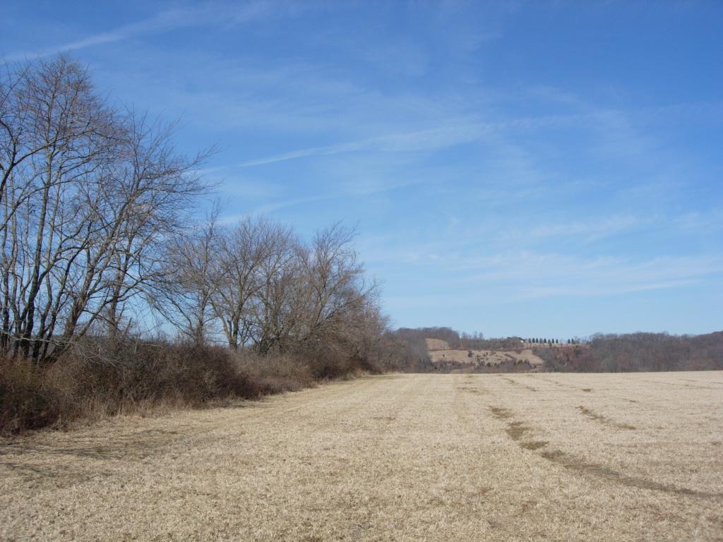 MLS #/Web ID: 2496595