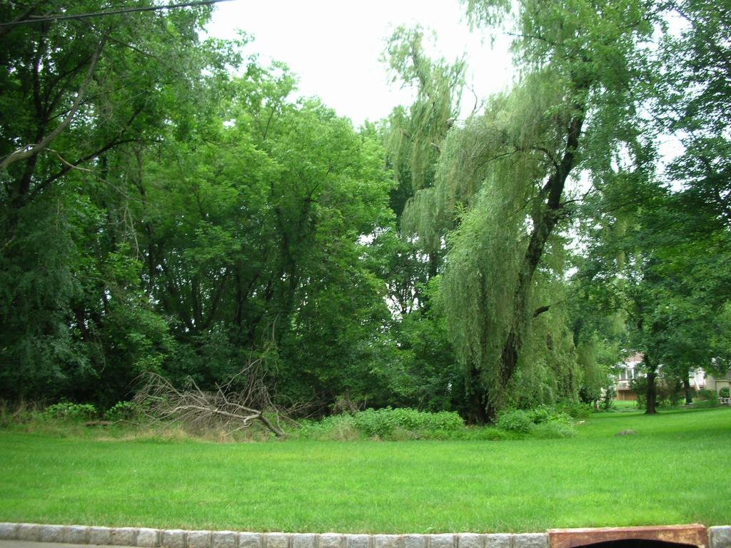 MLS #/Web ID: 2700895