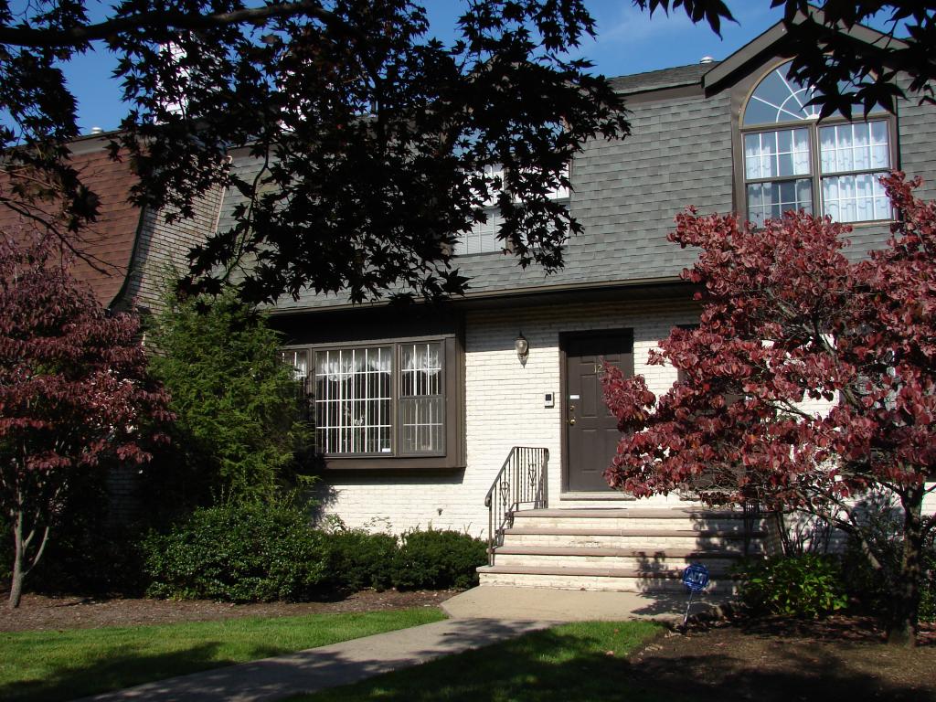 123 FALLS BRIDGE DR