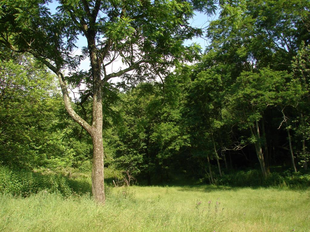 128 Rt 661 (Ramsey Road)