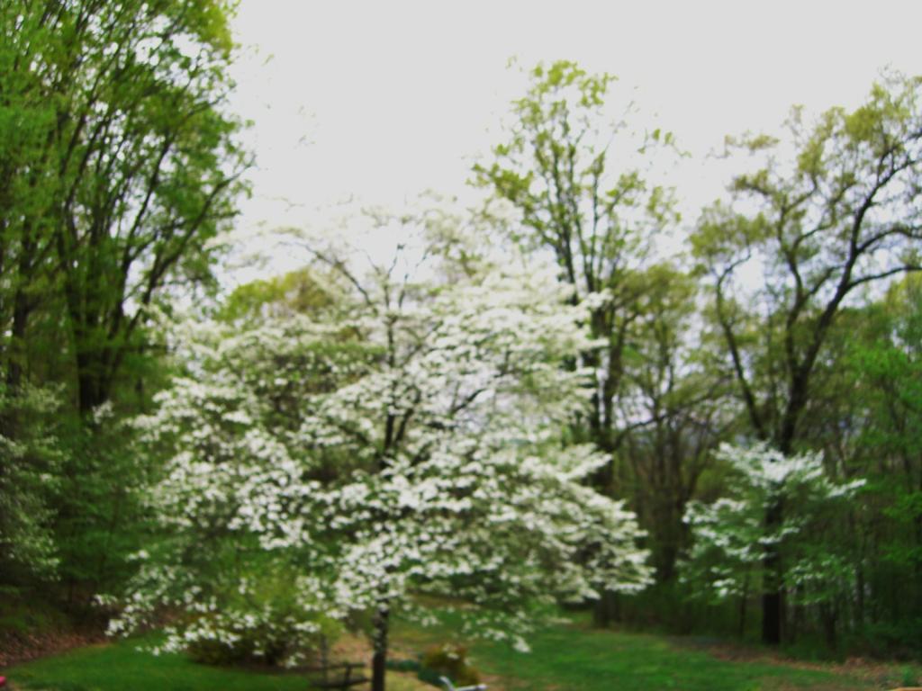 236 Musconetcong River Rd