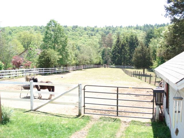 MLS #/Web ID: 2703496