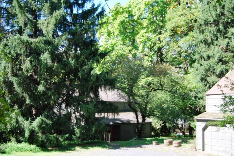 546 BERRYWOOD LANE