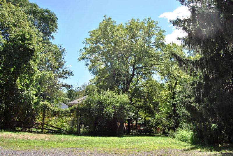 546 BERRYWOOD LANE