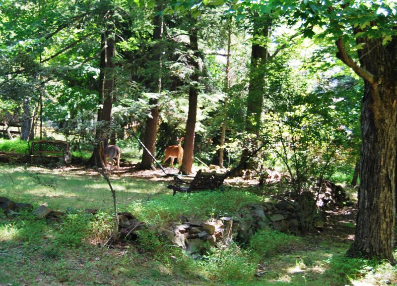 546 BERRYWOOD LANE