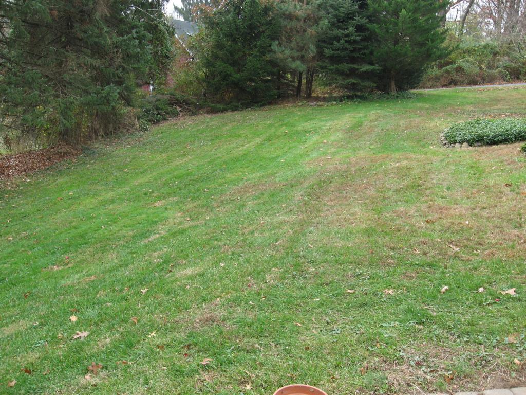 11 HILLSIDE AVE