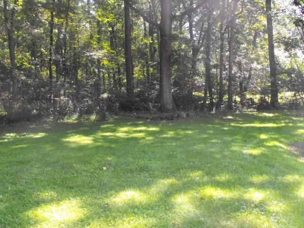MLS #/Web ID: 2704597