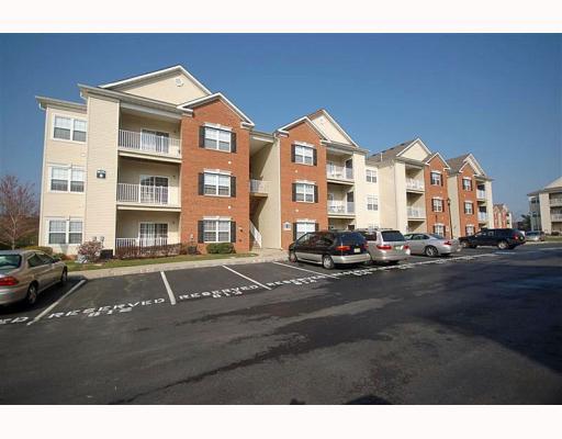 224 LUCY CT