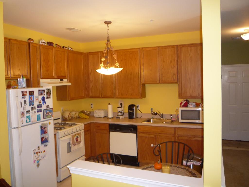 224 LUCY CT