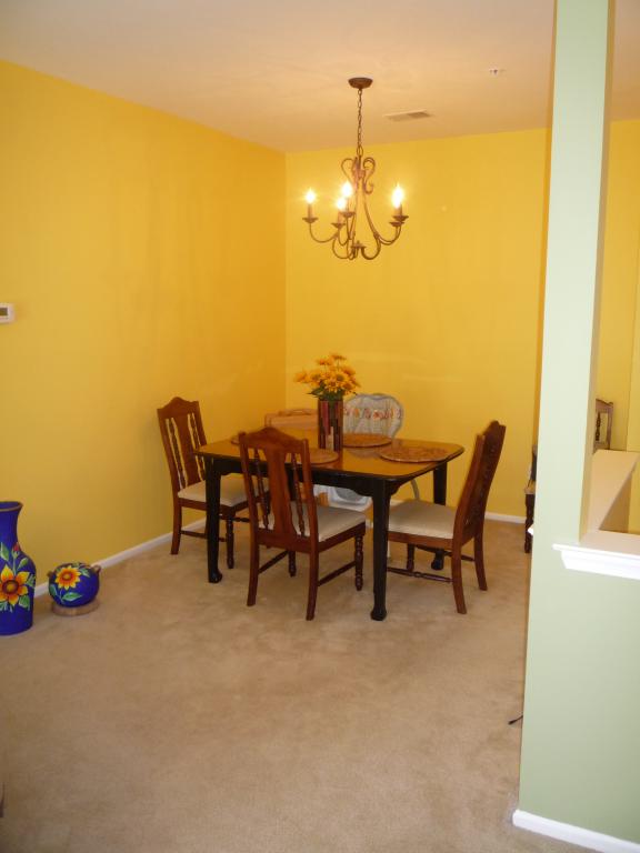 224 LUCY CT