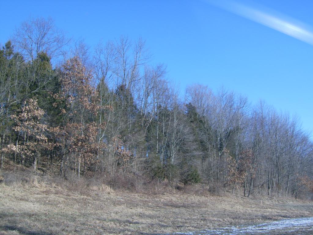 0 Paulinskill Rd.
