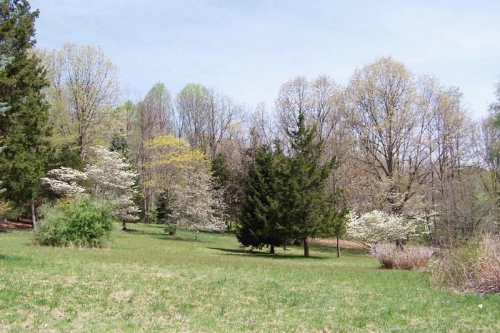 18 Saint Johns Drive