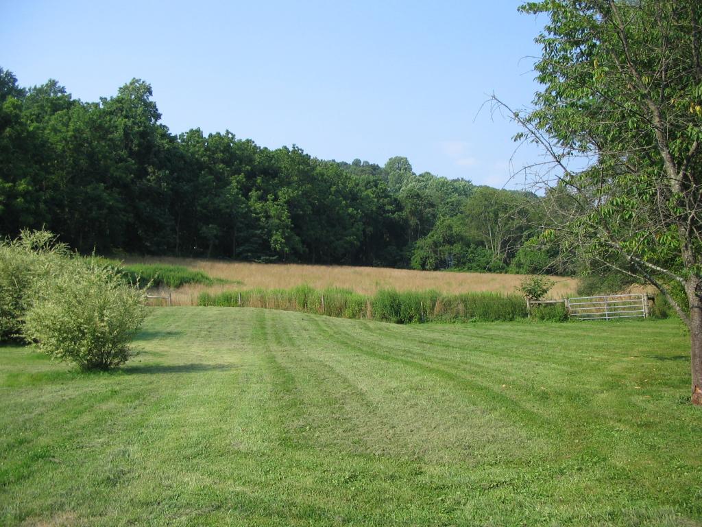 MLS #/Web ID: 2645598