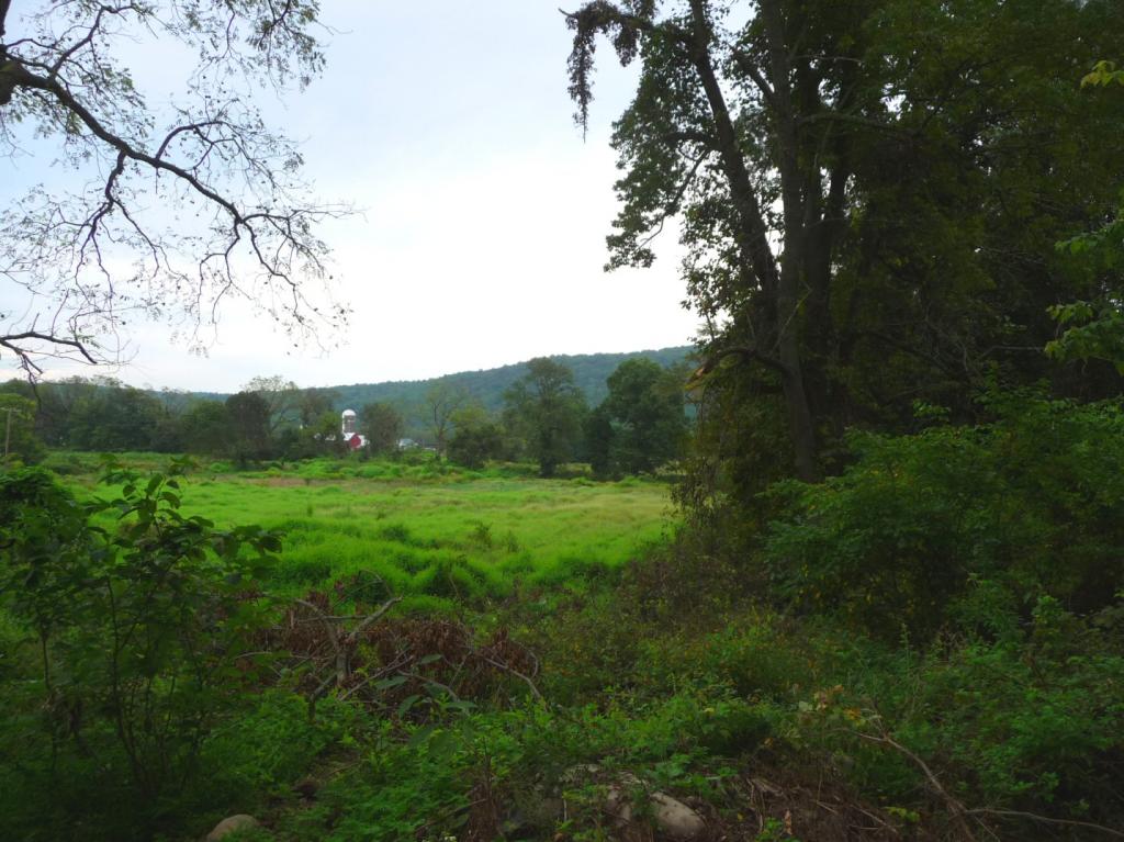 MLS #/Web ID: 2712398
