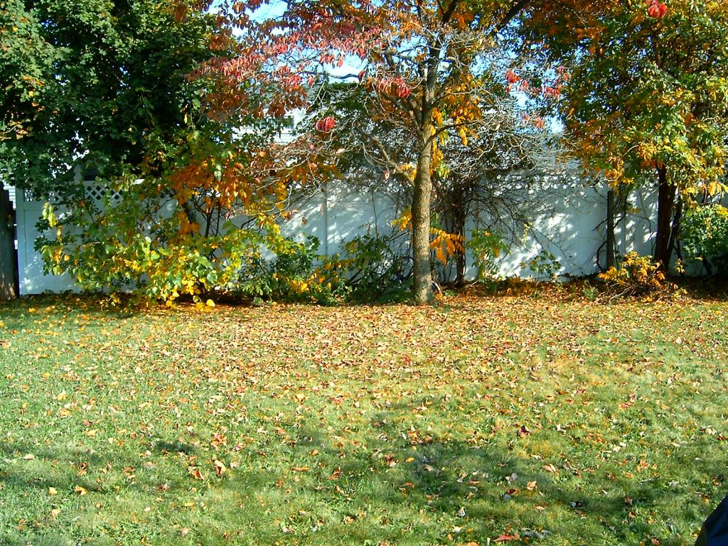 MLS #/Web ID: 2725198