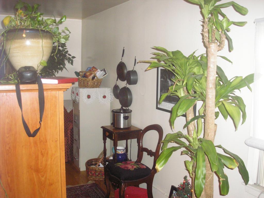 MLS #/Web ID: 2630599