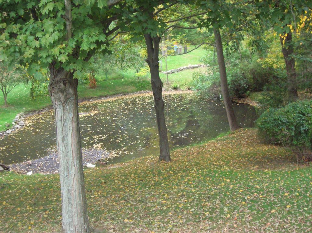 MLS #/Web ID: 2706099