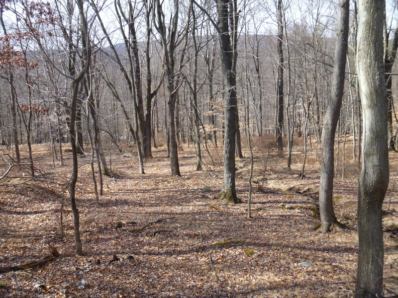 Photo of home for sale at Mohican Rd, Blairstown Twp. NJ
