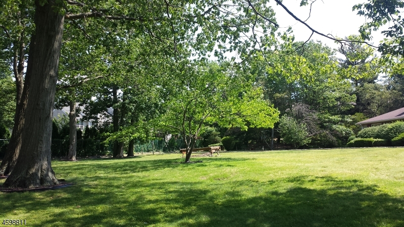 1 Blueberry Bnd, West Orange Township, NJ 07052