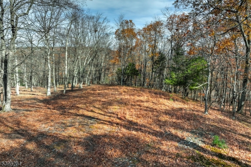 Stillwater Twp., NJ 07860,0 No Brook Lake Tr