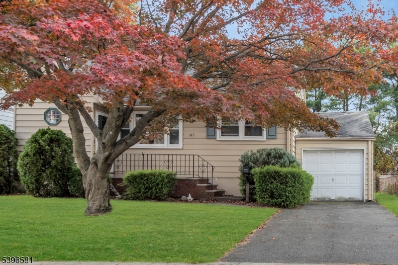 Clifton City, NJ 07014,87 Dyer Ave