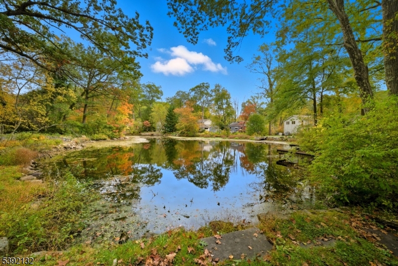 Denville Twp., NJ 07834,51 Indian Spring Trl