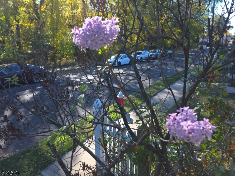 Hillside Twp., NJ 07205,553 Harvard Ave