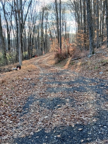 Frankford Twp., NJ 07826,10 Lakewood Trl