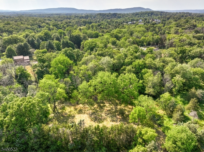 Readington Twp., NJ 08889,83 Readington Rd