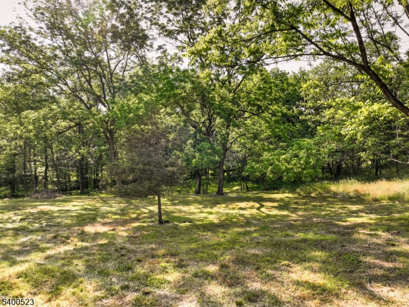 Readington Twp., NJ 08889,83 Readington Rd