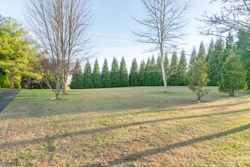 Franklin Twp., NJ 08802,20 Riddle Court