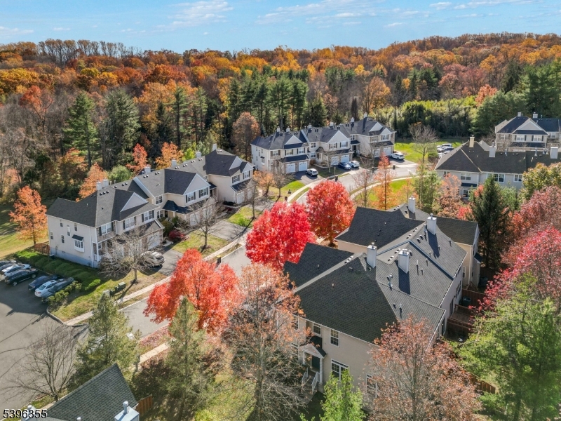 Montgomery Twp., NJ 08540,72 River Birch Cir