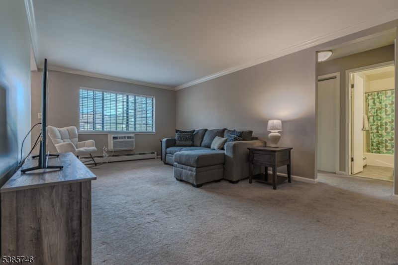 Chatham Twp., NJ 07928,19E Kensington Rd #E