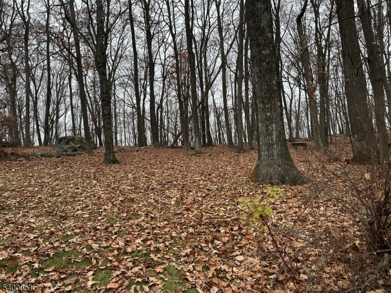 Rockaway Twp., NJ 07866,120 Cayuga Ave