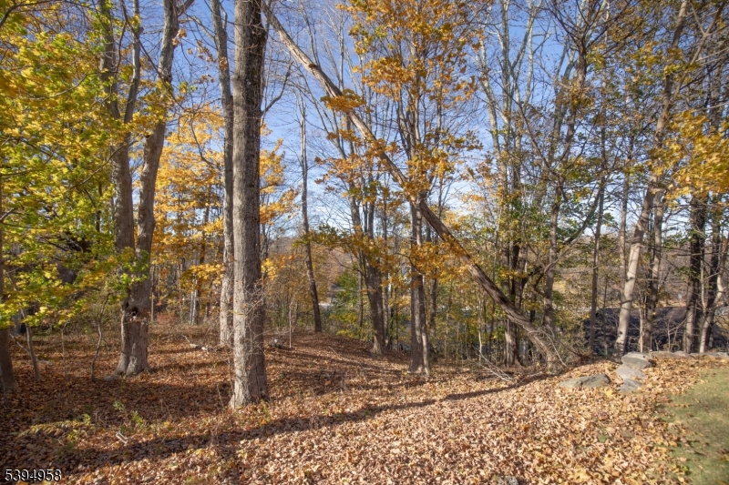 Newton Town, NJ 07860,13 Summit Ave