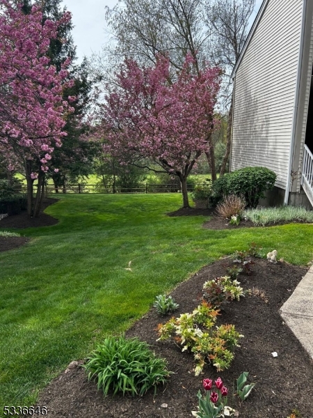 Bernards Twp., NJ 07920,103 Potomac Dr