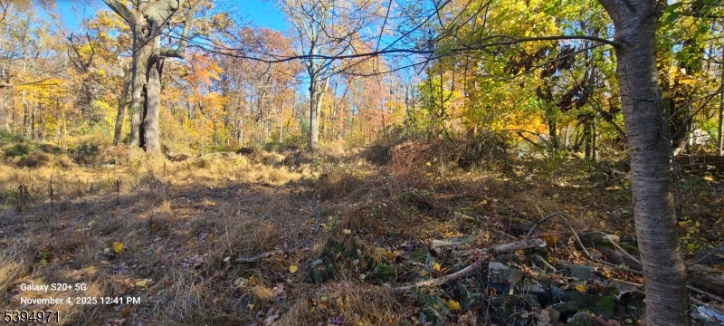 Hillsborough Twp., NJ 08844,372 Zion Rd