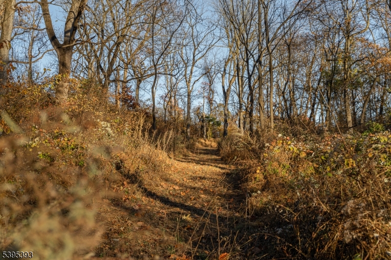 Franklin Twp., NJ 08802,0 Asbury Broadway Road