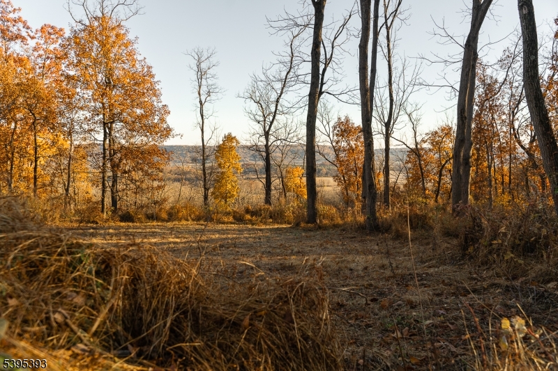 Franklin Twp., NJ 08802,0 Asbury Broadway Road