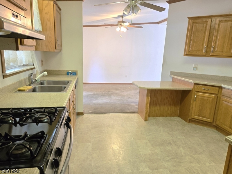 Rockaway Twp., NJ 07866,93 Mt Pleasant #14