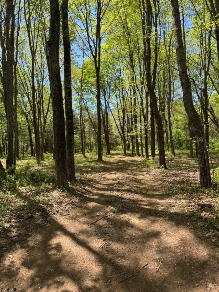 Hillsborough Twp., NJ 08844,718 Mill Ln