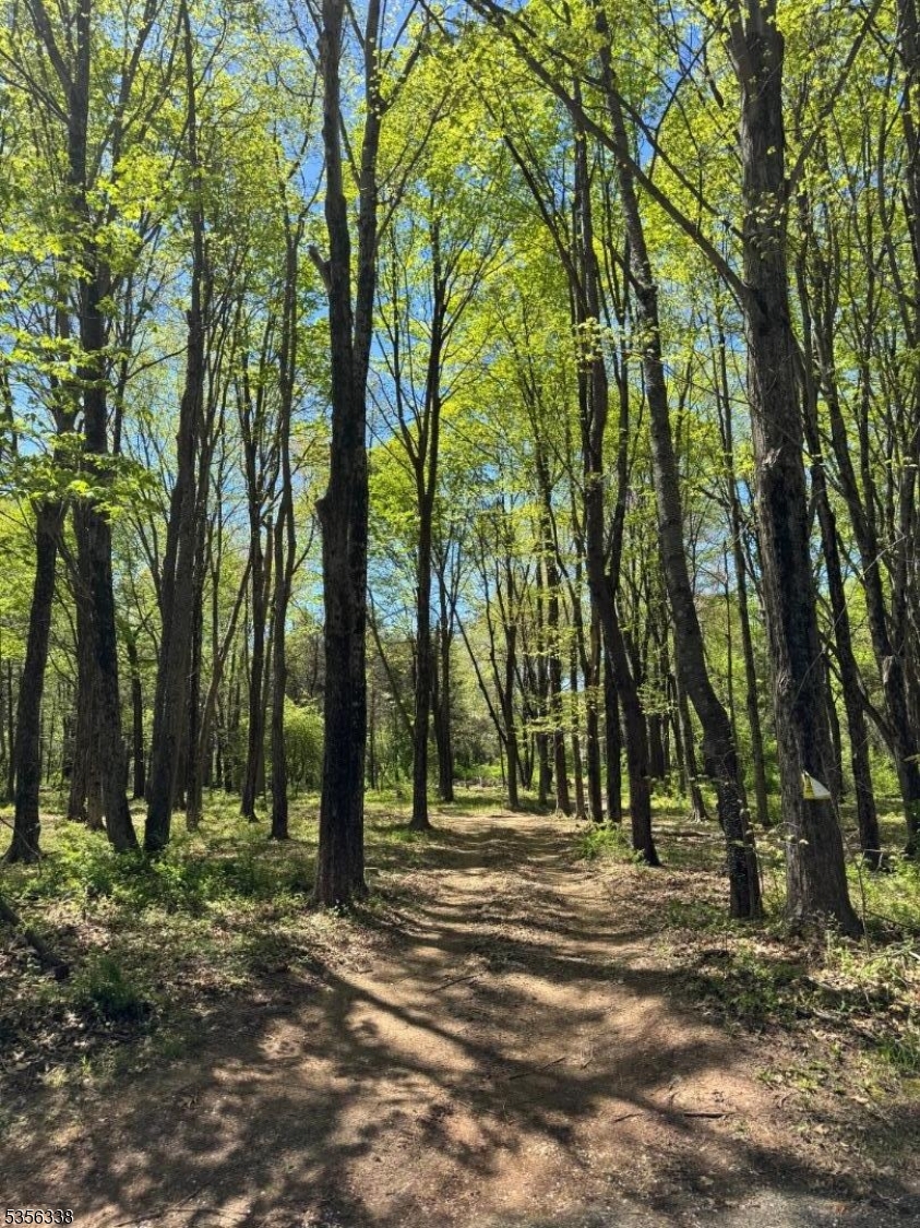 Hillsborough Twp., NJ 08844,718 Mill Ln