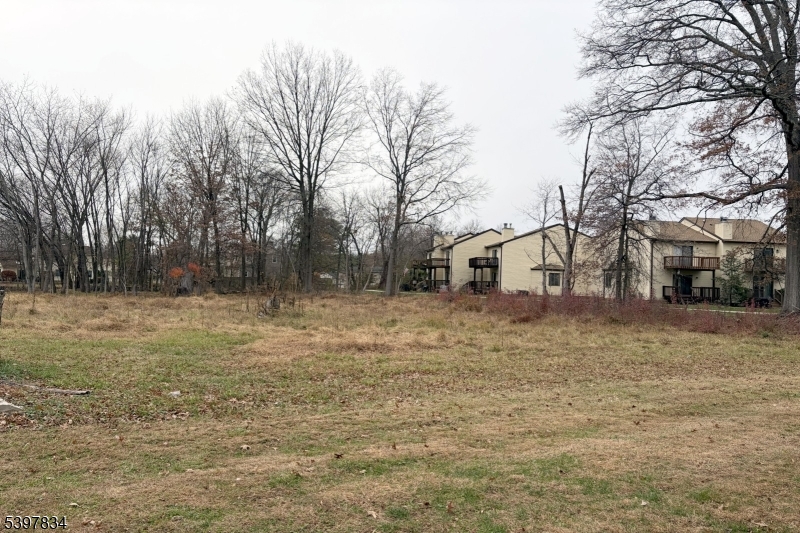 Flemington Boro, NJ 08822,8 Reasoner Ln